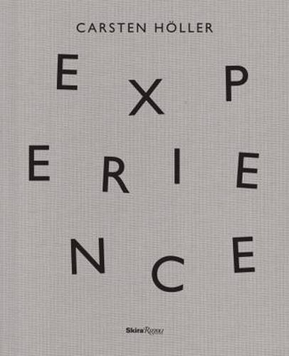 Carsten Hoeller: Experience