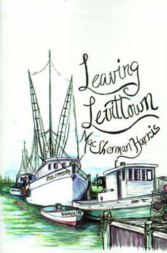 Cover image for Leaving Levittown