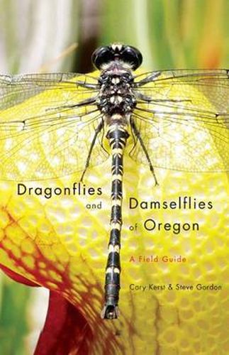 Cover image for Dragonflies and Damselflies of Oregon: A Field Guide