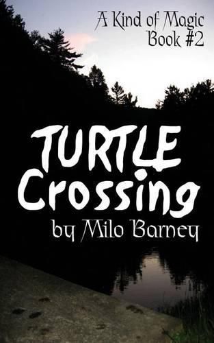 Cover image for Turtle Crossing