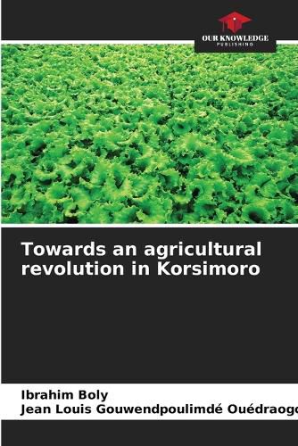 Cover image for Towards an agricultural revolution in Korsimoro