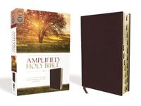 Cover image for Amplified Holy Bible, Bonded Leather, Burgundy, Thumb Indexed: Captures the Full Meaning Behind the Original Greek and Hebrew