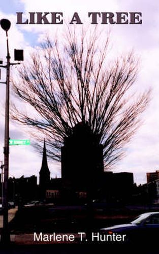 Cover image for Like A Tree