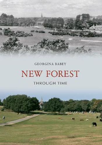 Cover image for New Forest Through Time