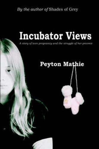 Cover image for Incubator Views: A Story of Teen Pregnancy and the Struggle of Her Preemie