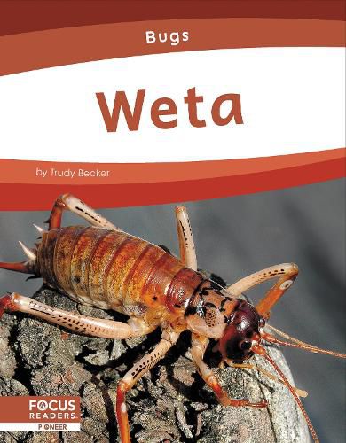 Cover image for Weta