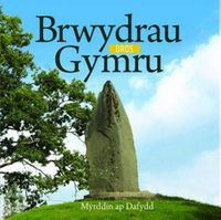 Cover image for Cyfres Celc Cymru: Brwydrau dros Gymru