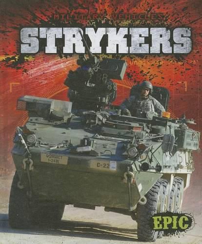 Cover image for Strykers