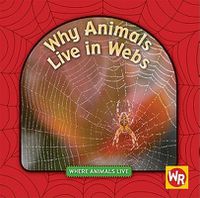 Cover image for Why Animals Live in Webs