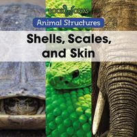 Cover image for Shells, Scales, and Skin