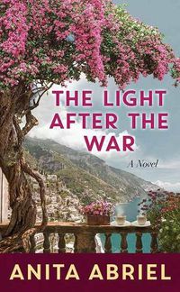 Cover image for The Light After The War
