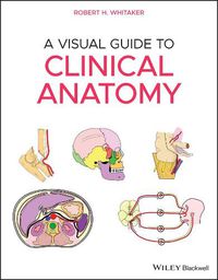 Cover image for A Visual Guide to Clinical Anatomy