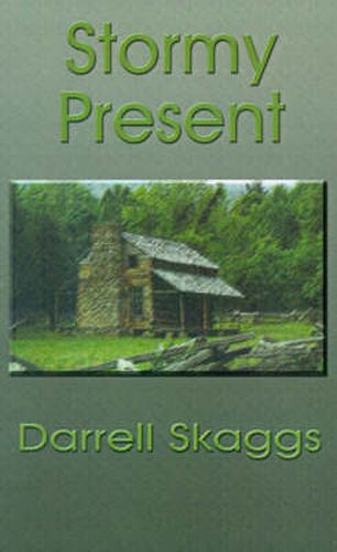 Cover image for Stormy Present