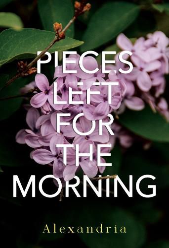 Cover image for Pieces Left for the Morning