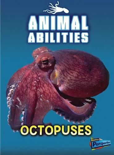 Cover image for Octopuses