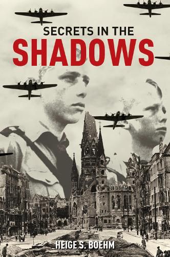 Cover image for Secrets in the Shadows