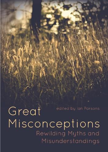 Cover image for Great Misconceptions
