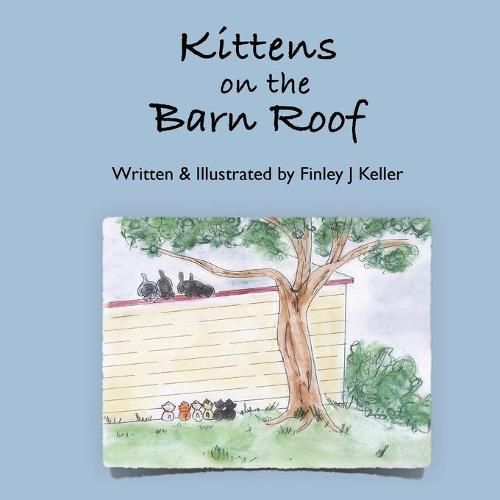 Cover image for Kittens on The Barn Roof