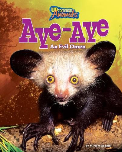Cover image for Aye-Aye