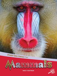 Cover image for Animals Have Classes Too! Mammals