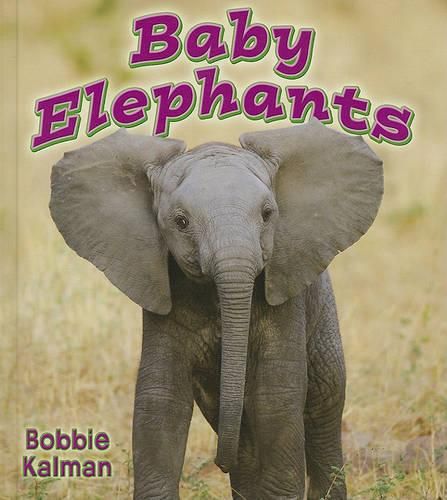 Cover image for Baby Elephants