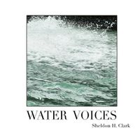 Cover image for Water Voices