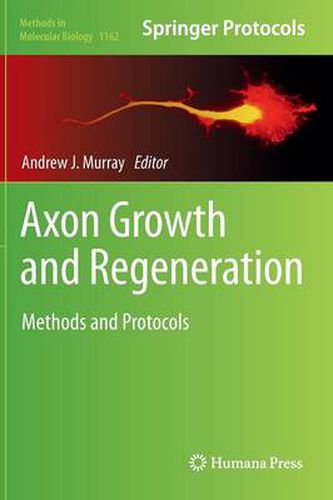 Cover image for Axon Growth and Regeneration: Methods and Protocols
