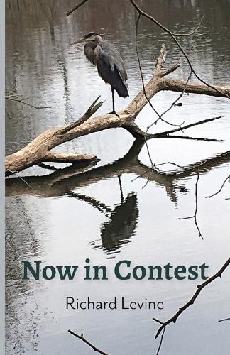 Cover image for Now in Contest