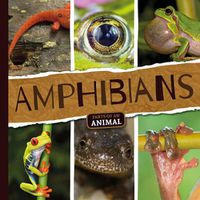 Cover image for Amphibians