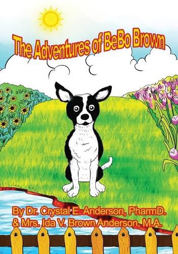 Cover image for The Adventures of Bebo