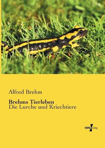 Cover image for Brehms Tierleben: Die Lurche und Kriechtiere