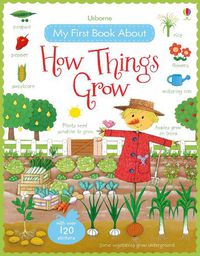 Cover image for My First Book About How Things Grow