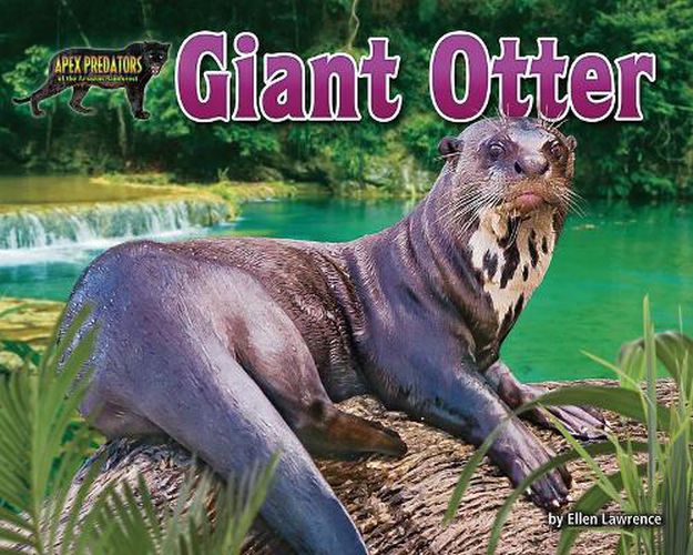 Cover image for Giant Otter