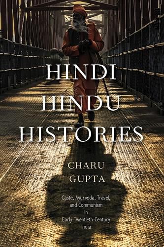 Cover image for Hindi Hindu Histories