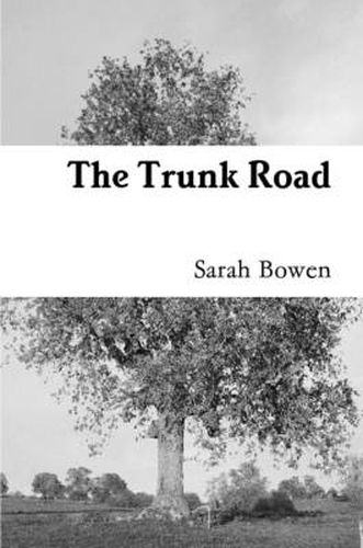 Cover image for The Trunk Road