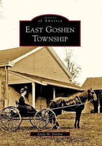 Cover image for East Goshen Township