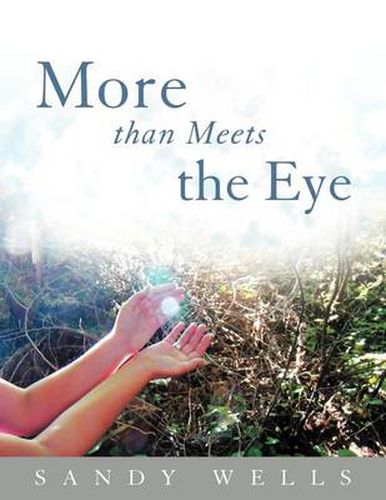 Cover image for More than Meets the Eye