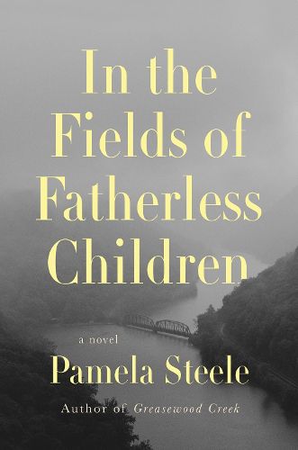 Cover image for In The Fields of Fatherless Children