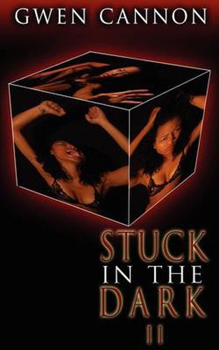 Cover image for Stuck in the Dark II