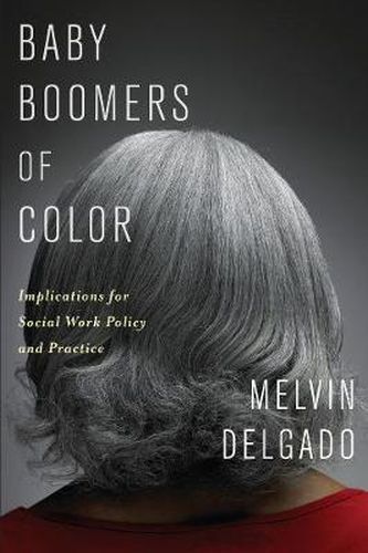 Cover image for Baby Boomers of Color: Implications for Social Work Policy and Practice