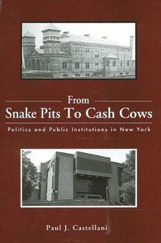 Cover image for From Snake Pits to Cash Cows: Politics and Public Institutions in New York