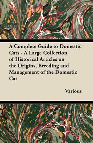 Cover image for A Complete Guide to Domestic Cats - A Large Collection of Historical Articles on the Origins, Breeding and Management of the Domestic Cat