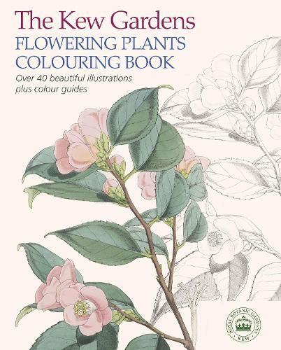 Cover image for The Kew Gardens Flowering Plants Colouring Book: Over 40 Beautiful Illustrations Plus Colour Guides