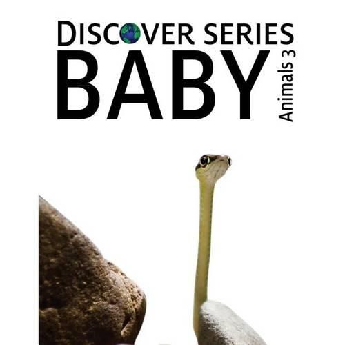Cover image for Baby Animals 3: Discover Series Picture Book for Children