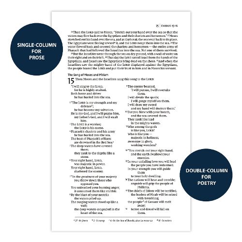 Cover image for NIV, Thinline Bible, Passaggio Setting, Leathersoft, Brown, Red Letter, Comfort Print: Elegantly uniting single and double columns into one Passaggio Setting Bible design