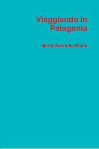 Cover image for Viaggiando in Patagonia