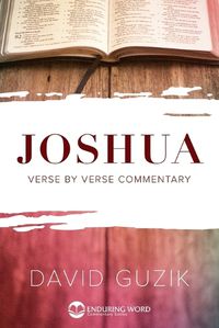 Cover image for Joshua