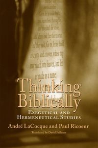 Cover image for Thinking Biblically: Exegetical and Hermeneutical Studies