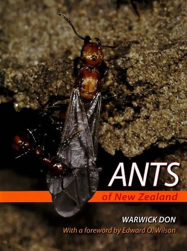 Cover image for Ants of New Zealand