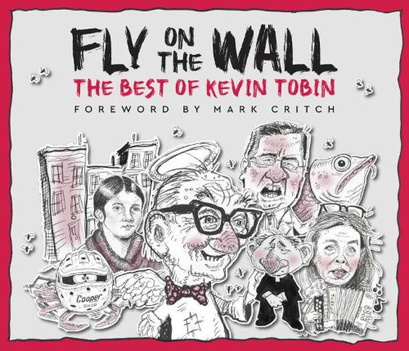 Cover image for Fly on the Wall